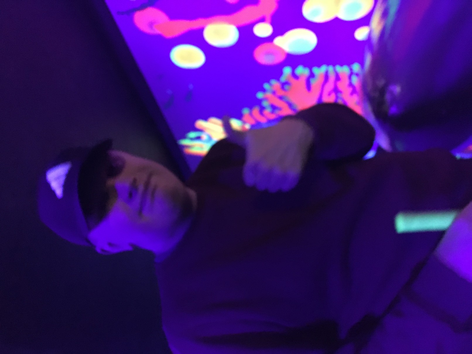 IMG 0904