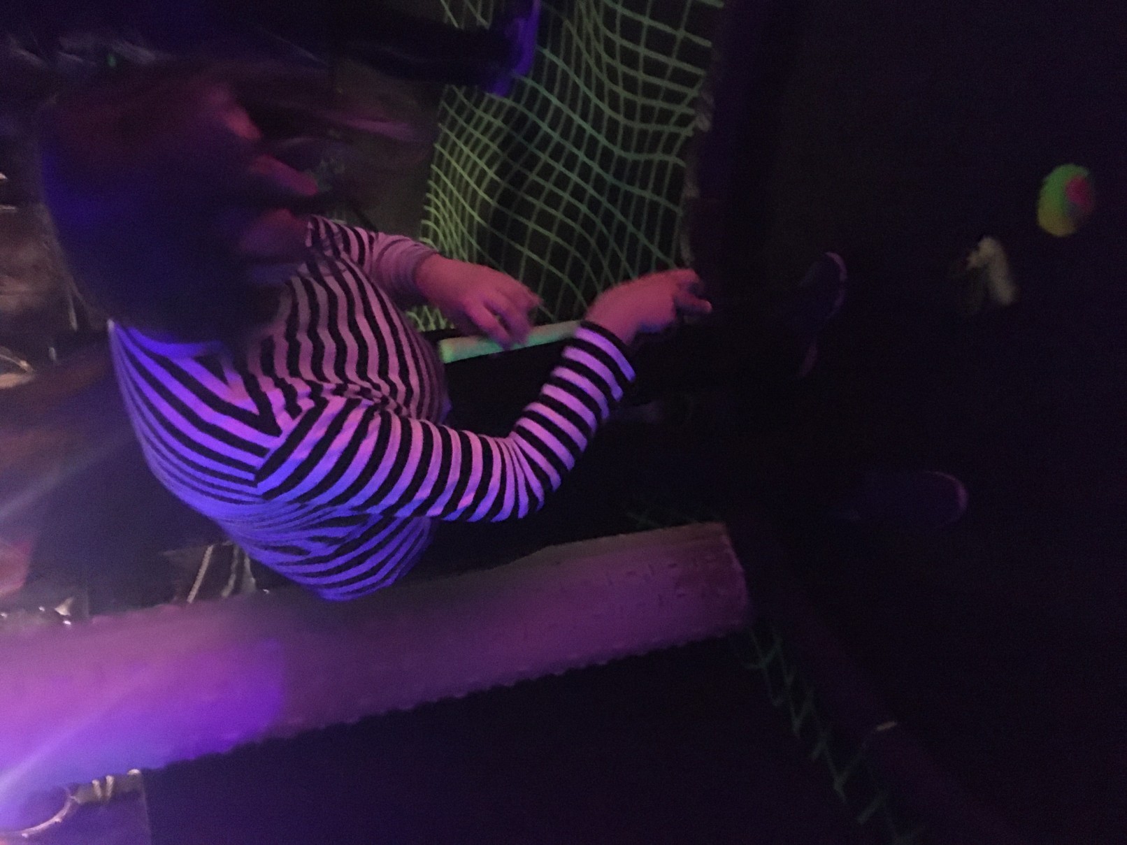 IMG 0908