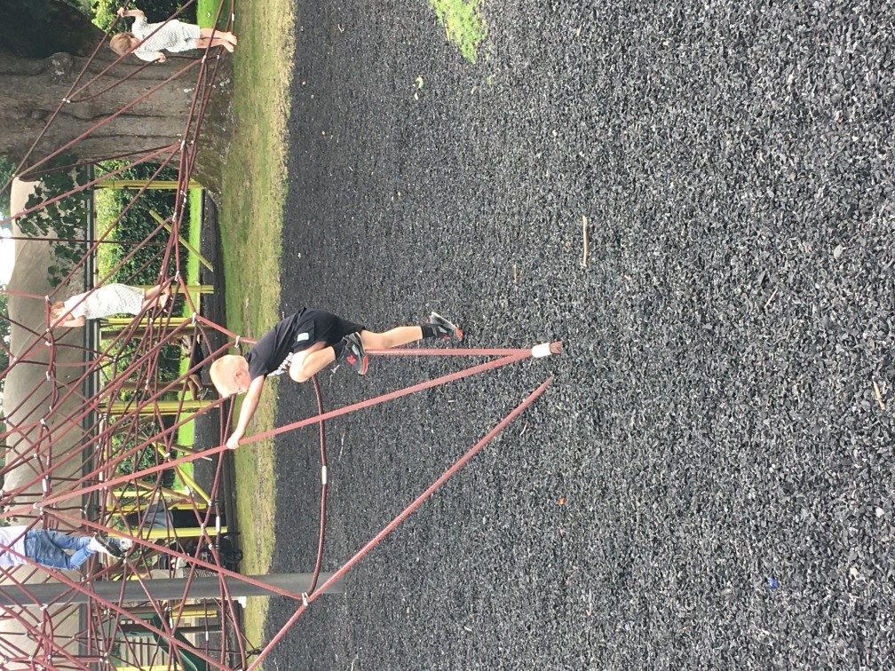 IMG 0690