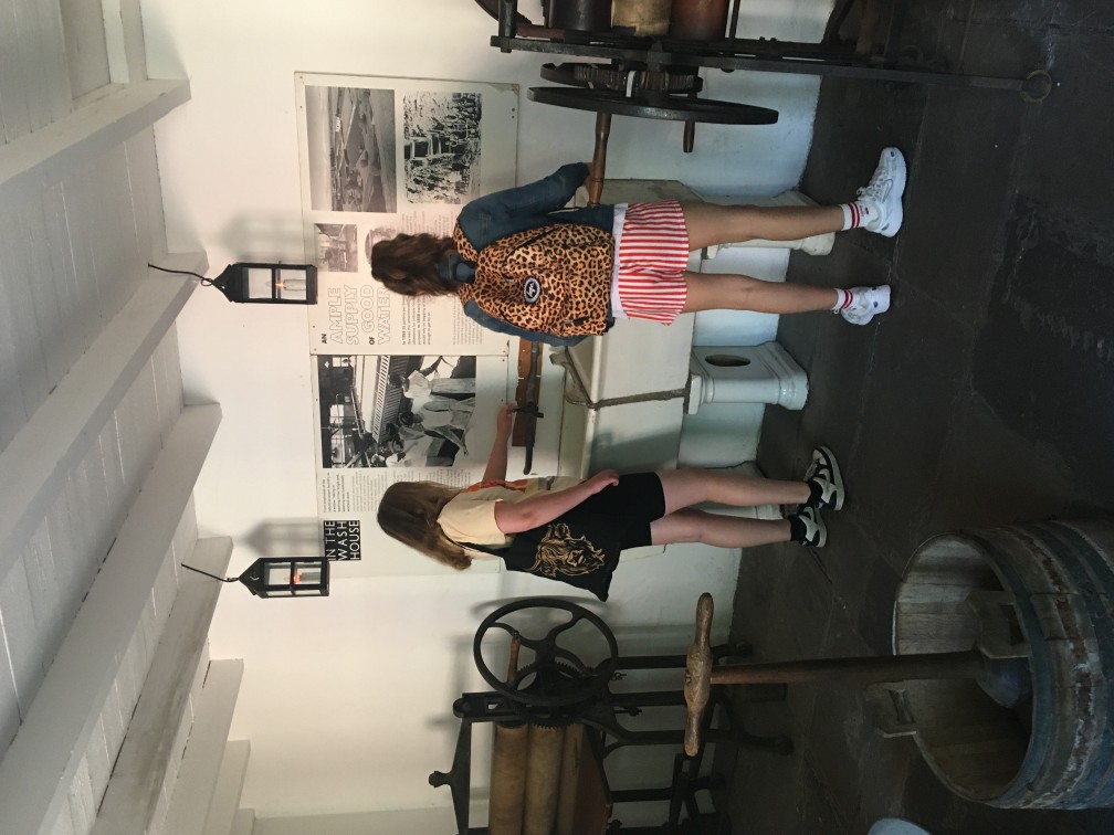 IMG 0778